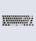 Wooting 60HE+ Module